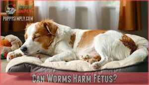 can worms harm fetus