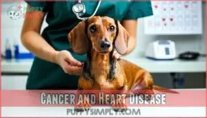 cancer and heart disease cancer and heart disease