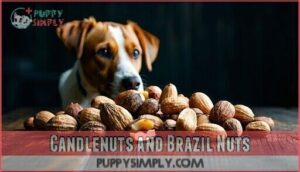 candlenuts and brazil nuts