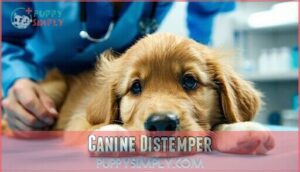 canine distemper