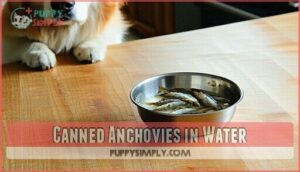 canned anchovies in water