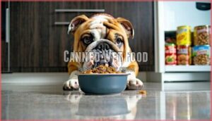 canned wet food