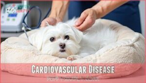 cardiovascular disease
