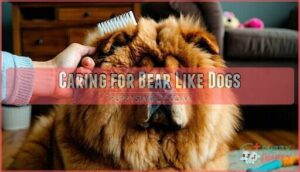caring for bear like dogs