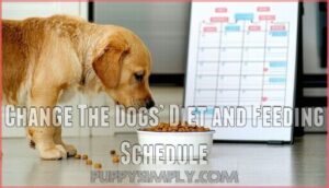 change the dogs’ diet and feeding schedule