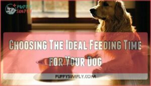 choosing the ideal feeding time for your dog