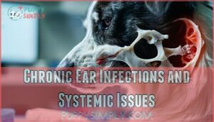 chronic ear infections and systemic issues