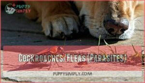 cockroaches/fleas (parasites)