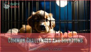 common challenges and solutions