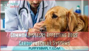common diseases affecting dogs' cardiovascular systems