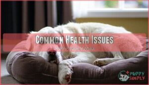common health issues