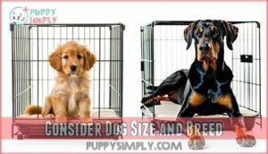 consider dog size and breed