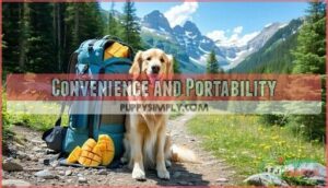 convenience and portability