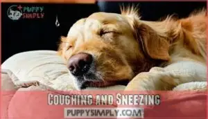 coughing and sneezing