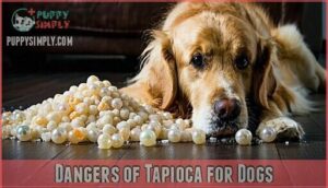 dangers of tapioca for dogs