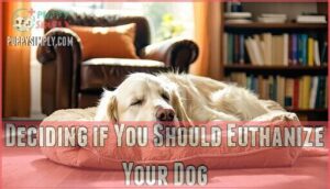 deciding if you should euthanize your dog