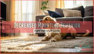 decreased mounting behavior