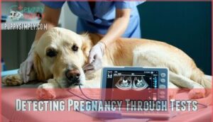 detecting pregnancy through tests