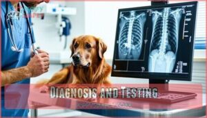 diagnosis and testing