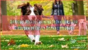 difficult recall training techniques (for stubborn or easily distracted dogs)