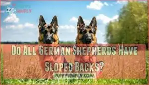 do all german shepherds have sloped backs