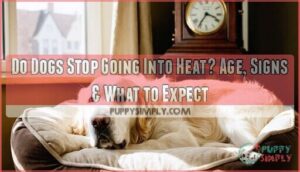 do dogs stop going into heat