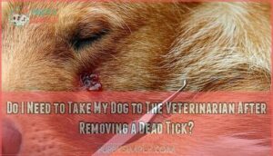 do i need to take my dog to the veterinarian after removing a dead tick