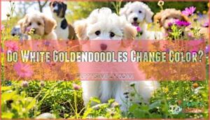 do white goldendoodles change color