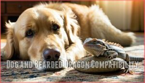 dog and bearded dragon compatibility