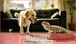 dog behavior