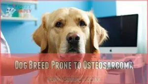 dog breed prone to osteosarcoma