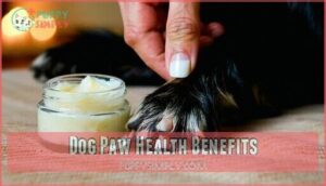 dog paw health benefits