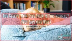 dog sleeps with eyes open