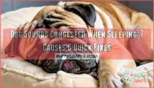 dog sounds congested when sleeping