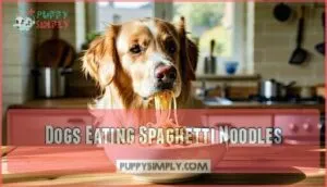 dogs eating spaghetti noodles