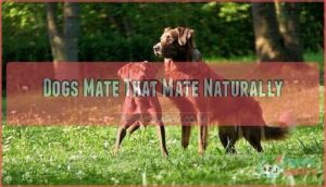 dogs mate that mate naturally
