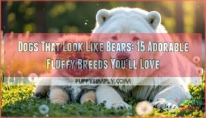 dogs that look like bears