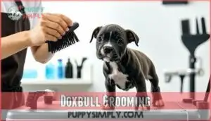 doxbull grooming doxbull grooming