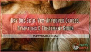 dry dog skin