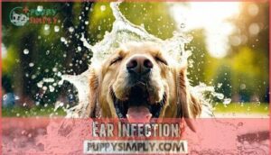 ear infection