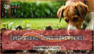 earthworms/slugs (lungworms)