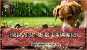 earthworms/slugs (lungworms) earthworms/slugs (lungworms)