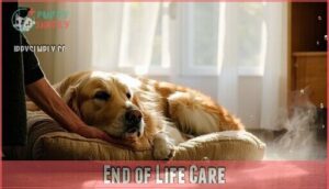 end of life care