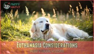 euthanasia considerations