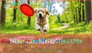 exercise and mental stimulation
