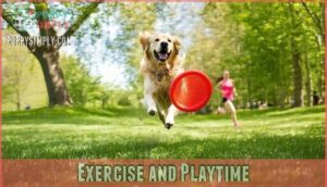 exercise and playtime