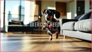 exercise needs