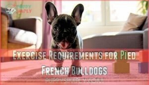 exercise requirements for pied french bulldogs