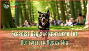 exercise requirements for the rottweiler husky mix
