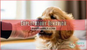 exploratory behavior